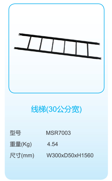 線梯（30公分寬）2.jpg
